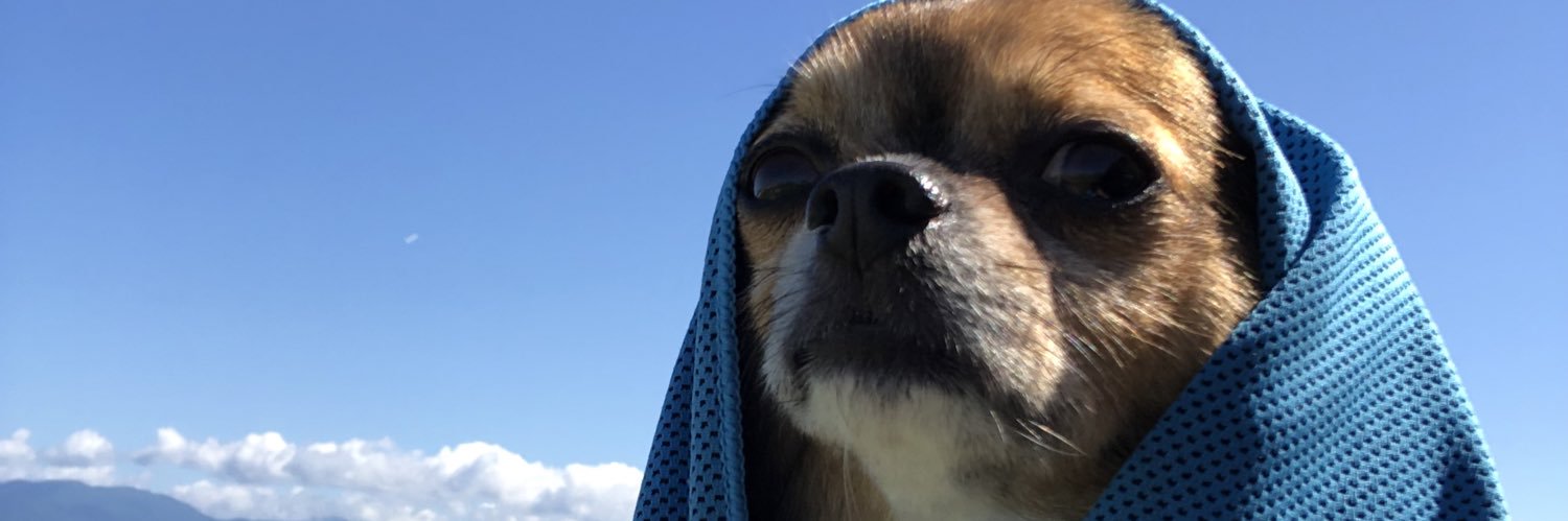 maikovida's profile banner image