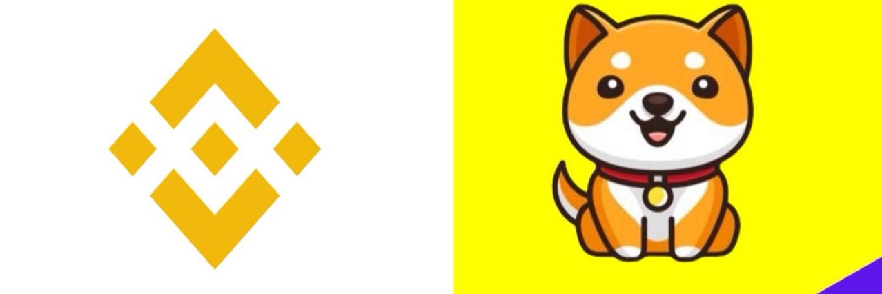 BabyDogeExpert banner