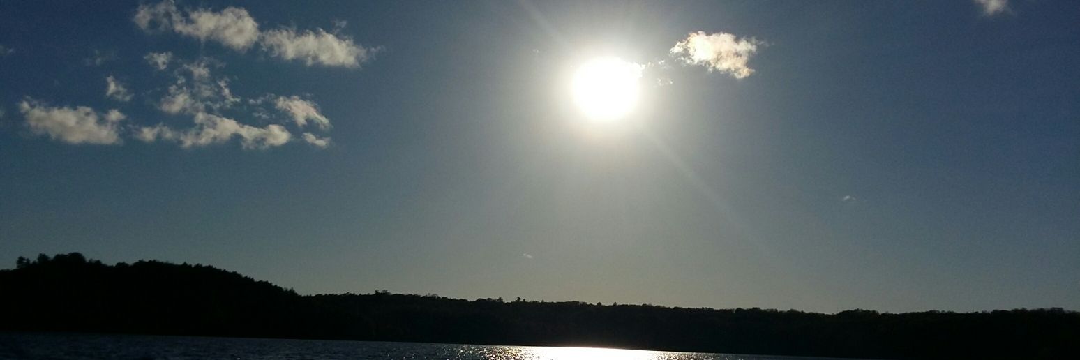 Bozzatobizz's profile banner image