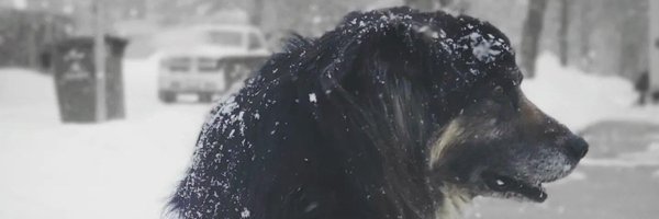 Sensincmurr Profile Banner
