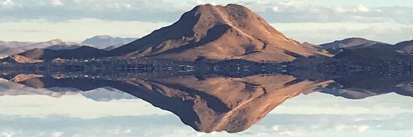 odris Profile Banner