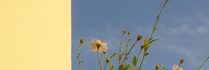 Mick. banner