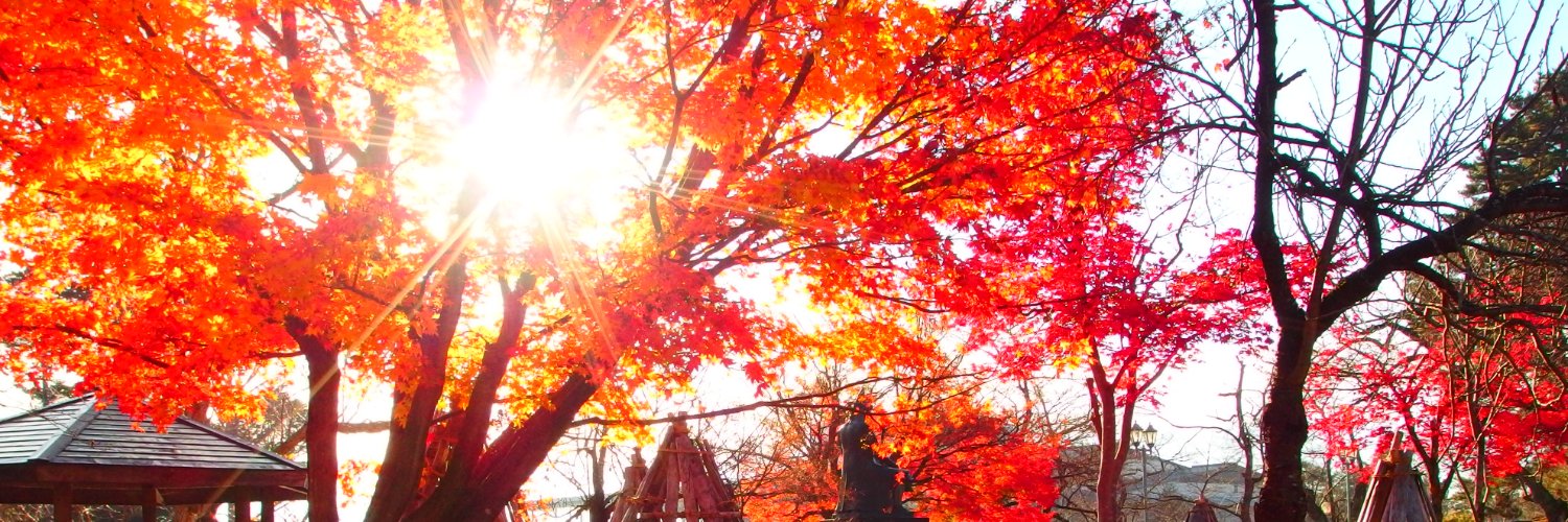 ss_ta25's profile banner image