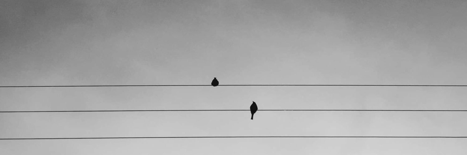 D_Mac1221's profile banner image
