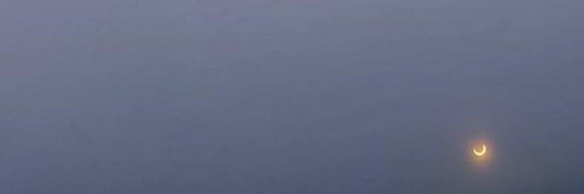 julswis's profile banner image