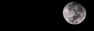 ralphtan1313's profile banner image