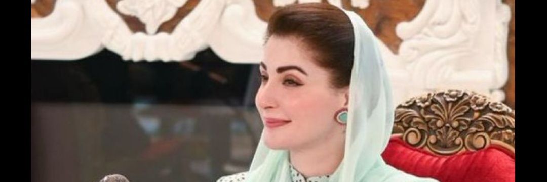Voice of PMLN's banner