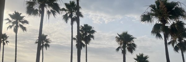 SaAynaz Profile Banner