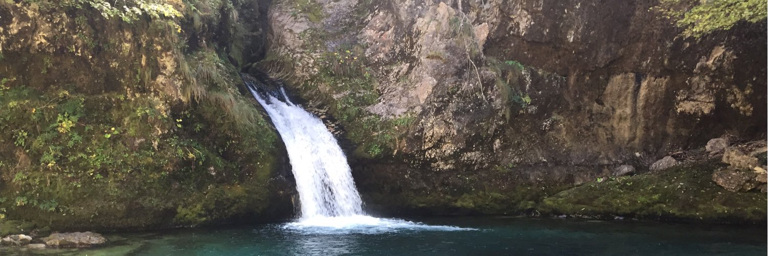 Tahseen Sayed banner