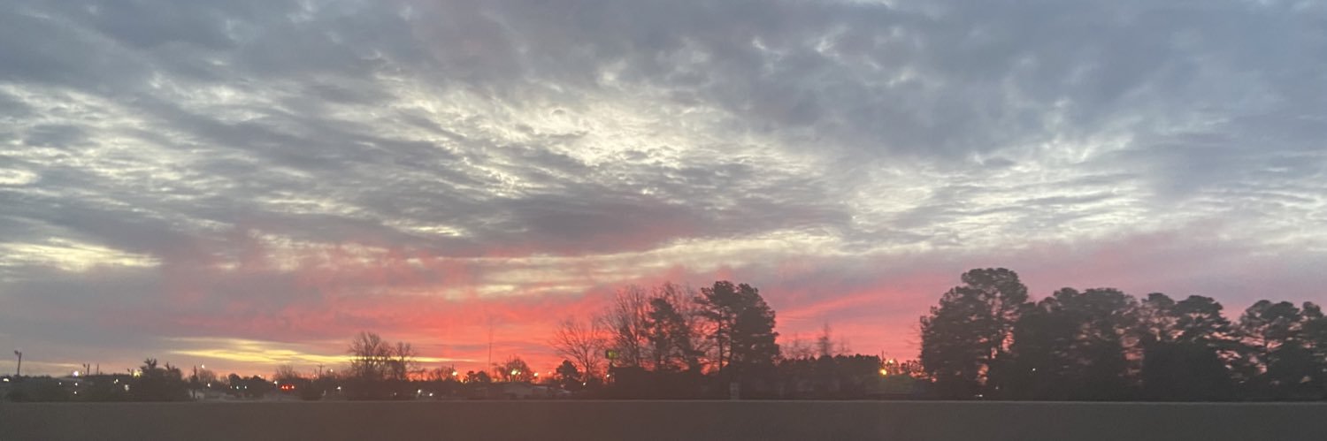 WolfHaileyy's profile banner image
