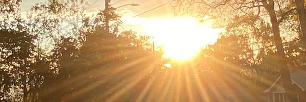 KathyKniffen2 Profile Banner