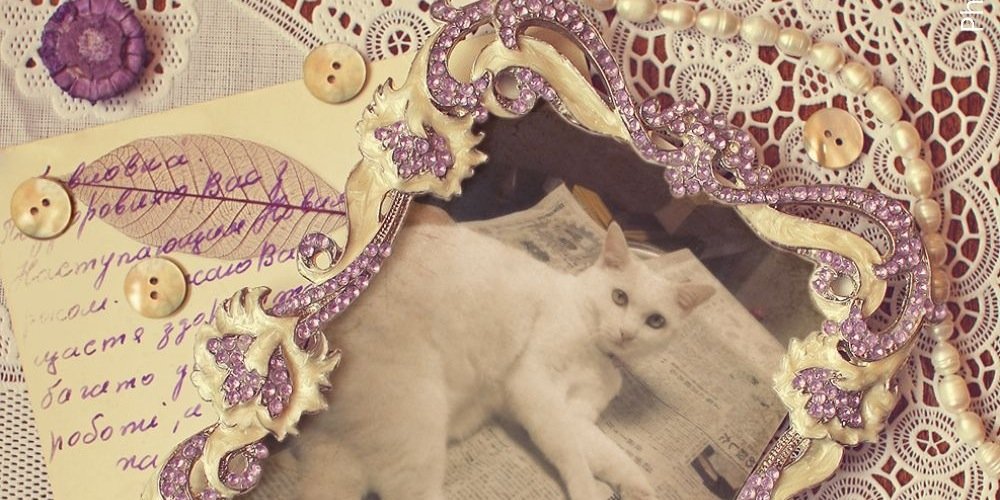 powapoon's profile banner image
