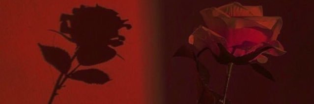 febpysafrina's profile banner image