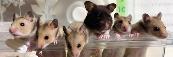 723_Re Profile Banner