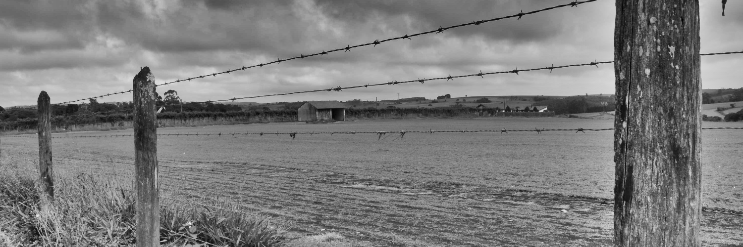 Diego Rabatone banner