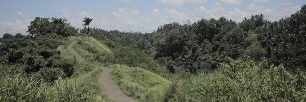 DDoubleVT Profile Banner
