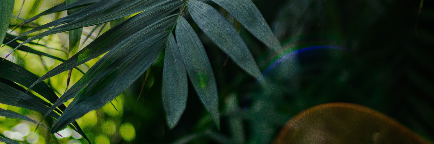 antoniodueval's profile banner image