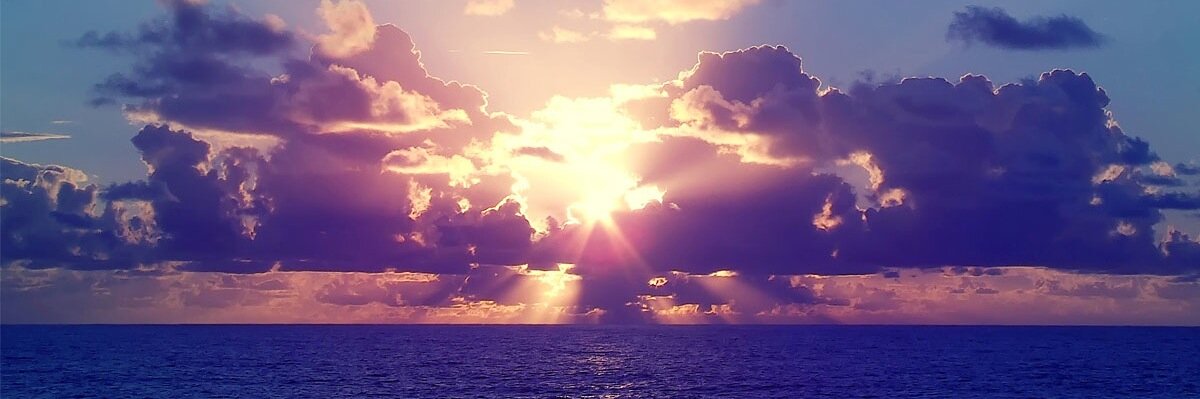 Maggie__Allen's profile banner image