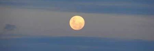 JaviEnViaje Profile Banner