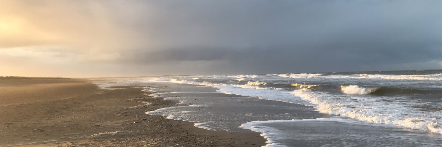 ProbertAngela's profile banner image