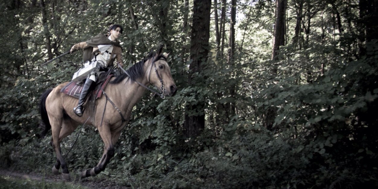 いさロク🍁 banner