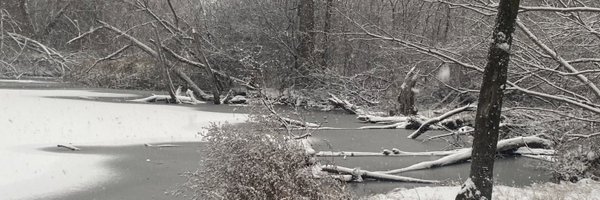 GamedevFrank Profile Banner