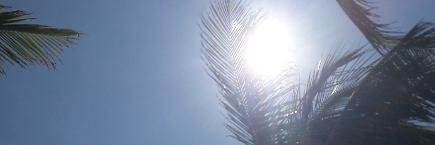 VanRexus2310's profile banner image