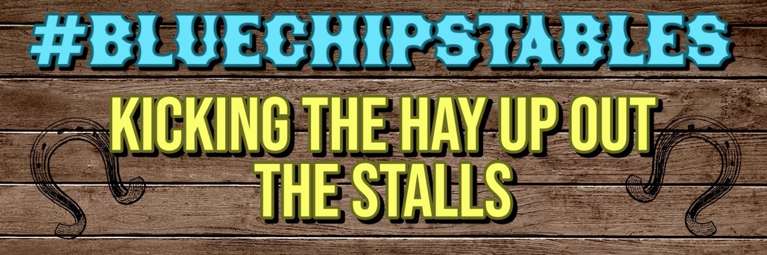 BlueChipStables banner