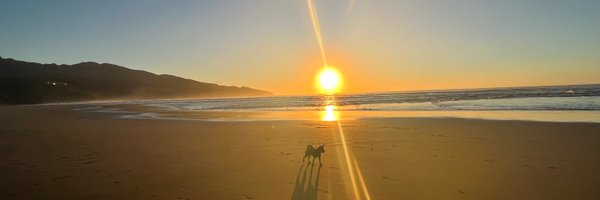 SineadGormley3 Profile Banner