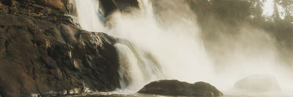 mithunmitta's profile banner image