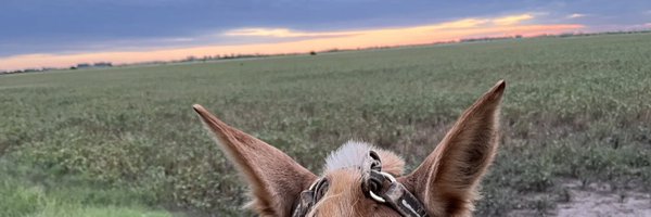 Arielleonel_ Profile Banner