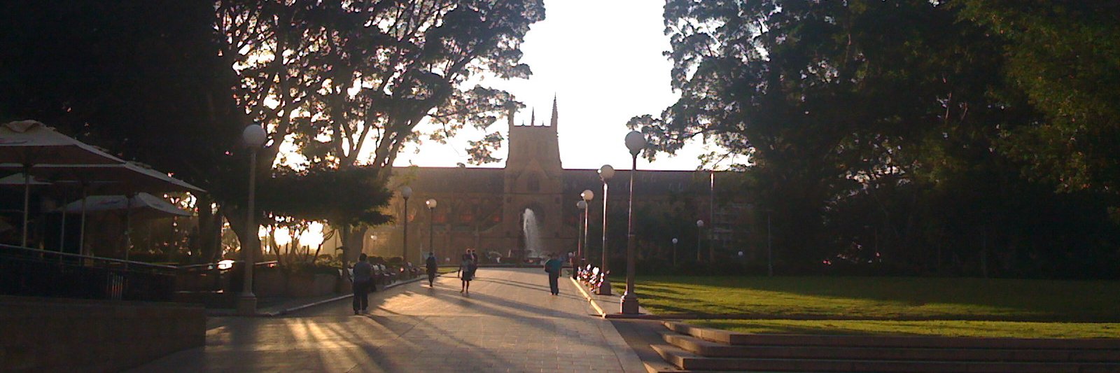 David Colville banner