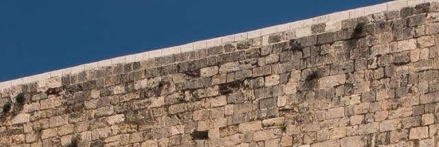 🇮🇱 L D's banner