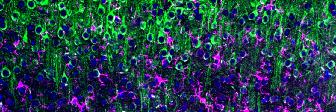 Thinakaran Lab banner