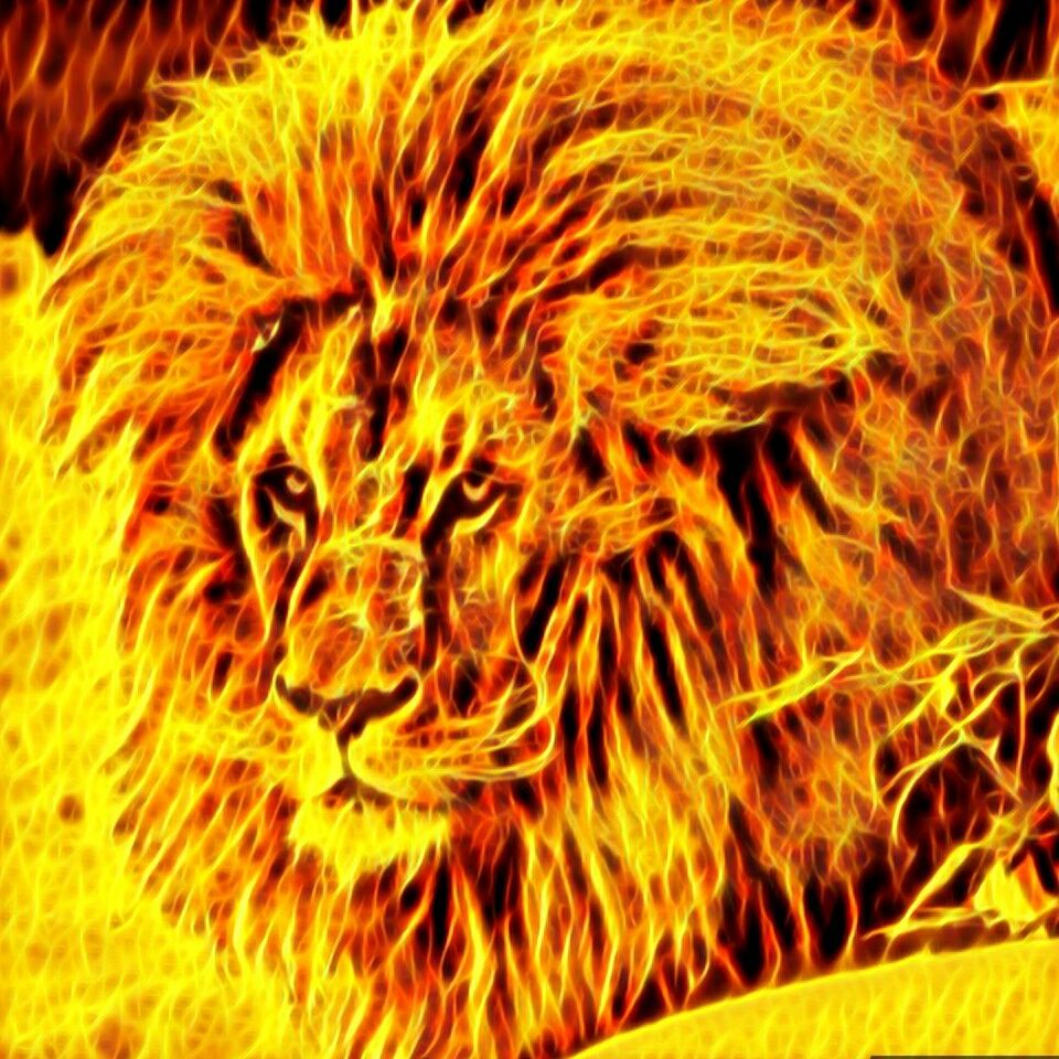 Afrorican76's profile banner image