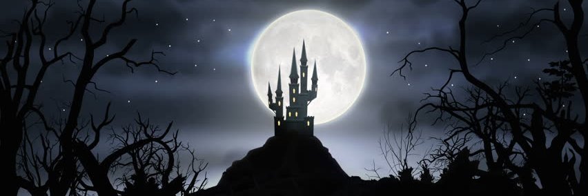 METAdan banner