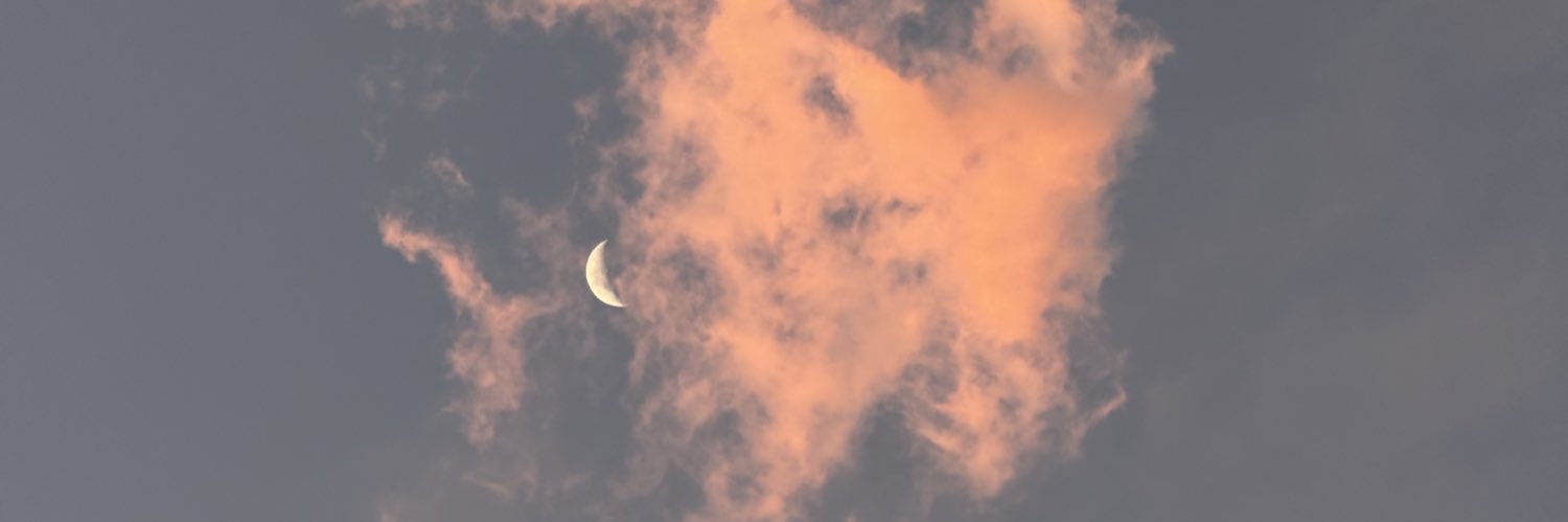 Lilyanezh's profile banner image