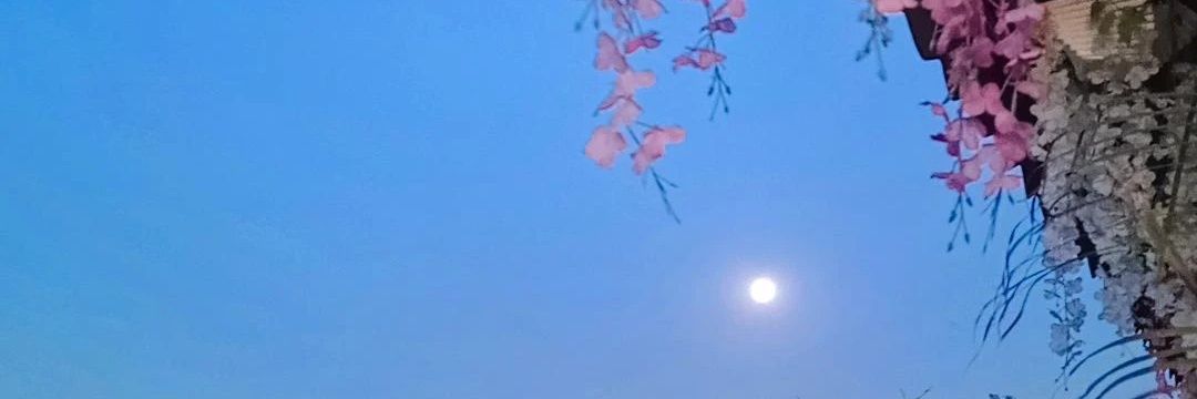 pixelpool.eth banner