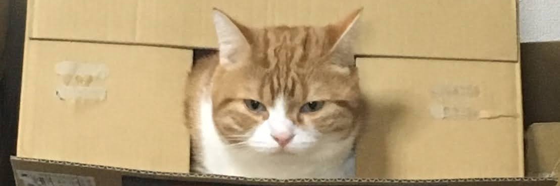 85猫 Skeb募集中 banner