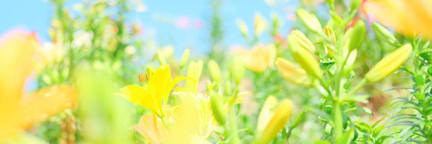 nmgt's profile banner image