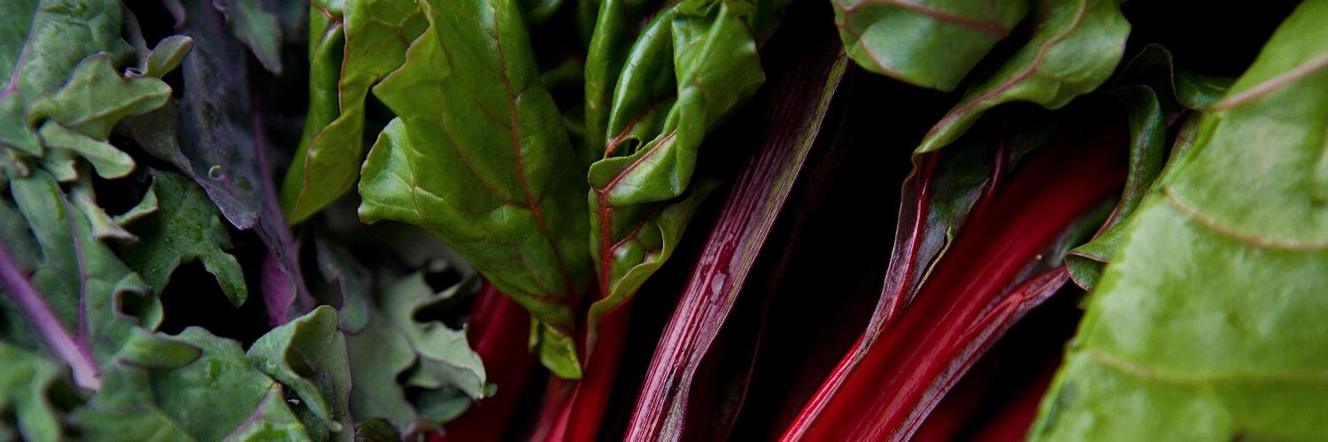 Christopher Cox banner