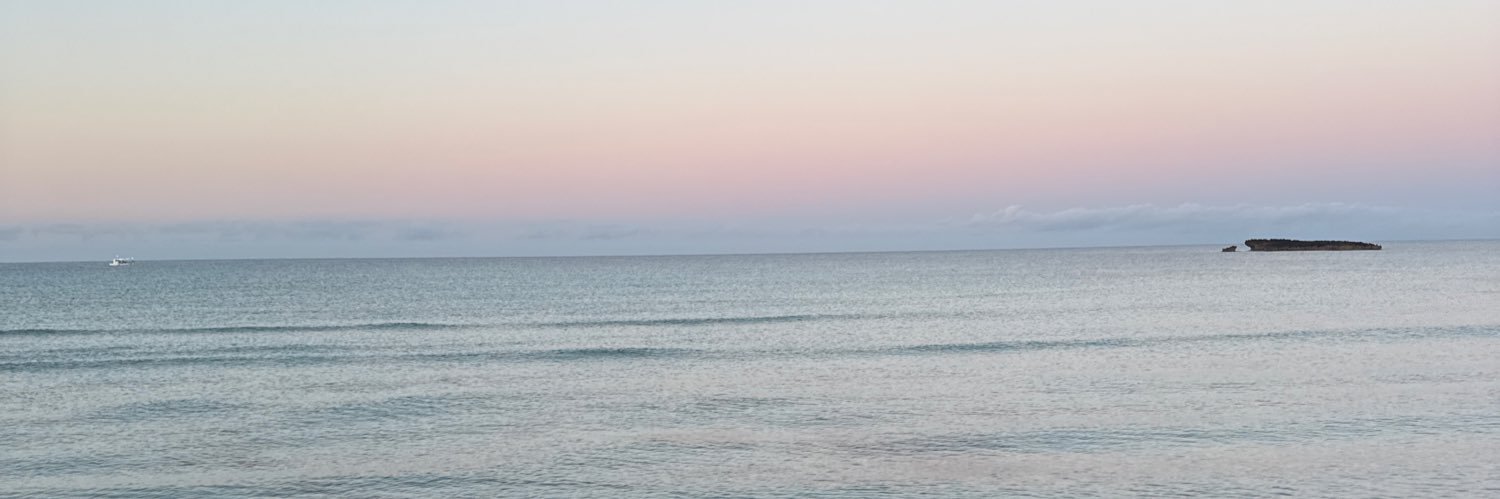 evgalgut's profile banner image