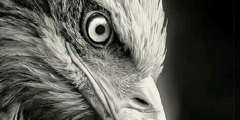 polat_84's profile banner image
