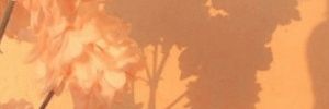 cloudyvk's profile banner image
