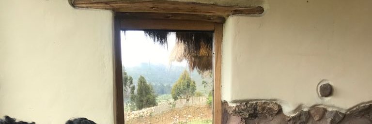 patiflorese's profile banner image