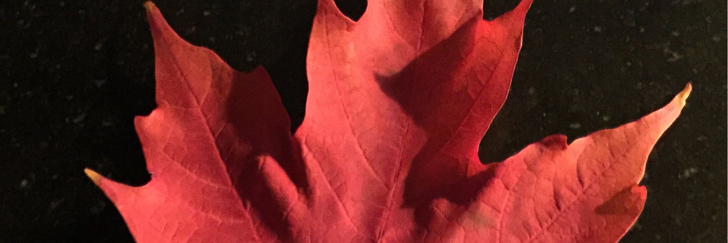 Mark Aquilla banner