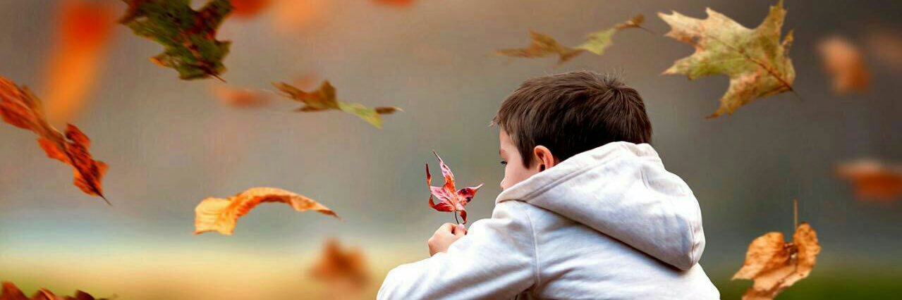 محمد السالم banner