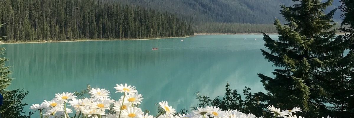 brisagcc's profile banner image