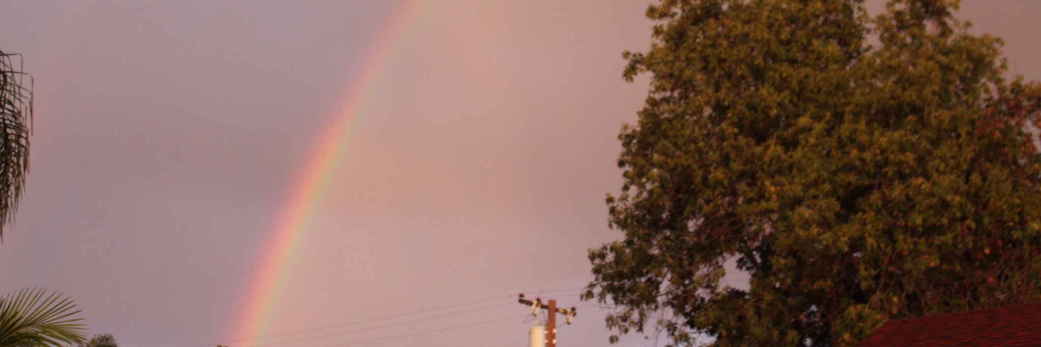 yolojojo44's profile banner image
