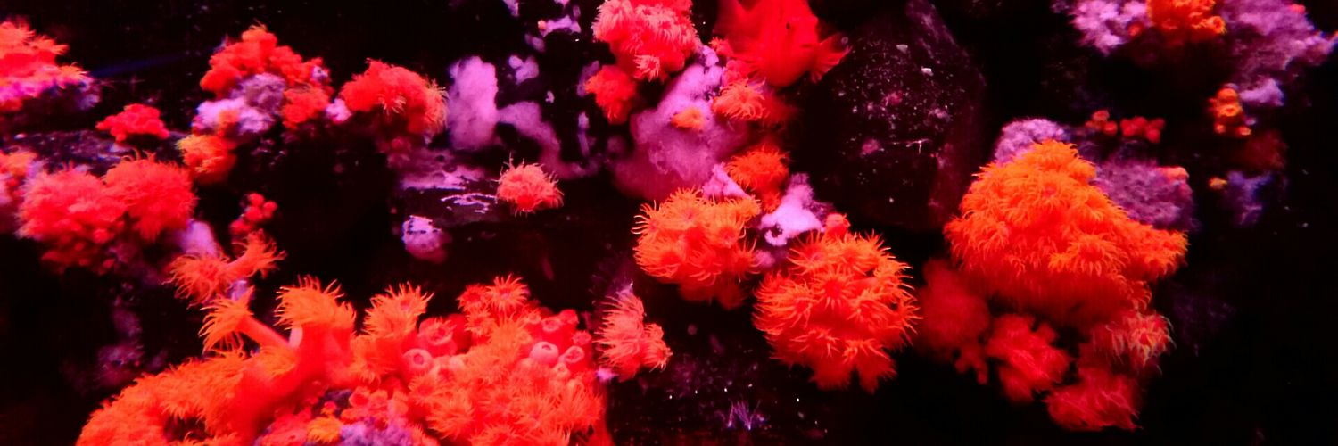 feet_six's profile banner image